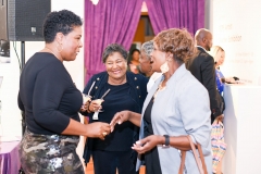 perfect-planning-events-75th-birthday-celebration-workhouse-arts-center-74
