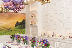perfect-planning-events-dc-event-planner-birthday-party-ritz-carlton-tysons-corner-rlj-photography-213