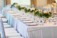 perfect-planning-events-carnegie-institute-of-science-dc-wedding-ian-and-amanda-procopio-photography (266)
