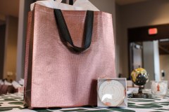 the-signature-ceo-conference-day1-2022-perfect-planning-events-mfields-photography-99