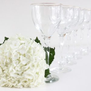 house of andaloo crystal glasses