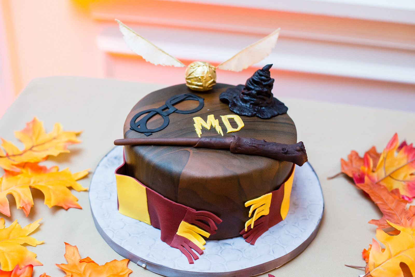 detail shot of harry potter groom's cake